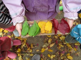 Bunte Herbstblätter nach Farben sortiert.