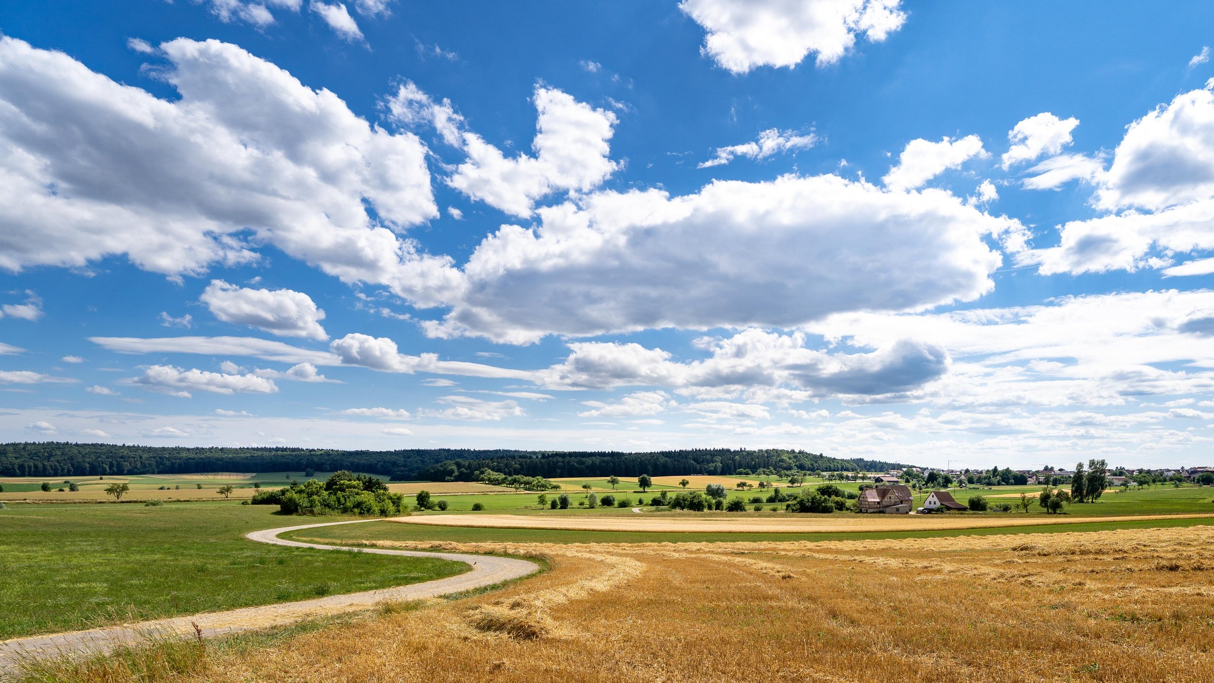 Blick über Stoppelfeld und Wiese auf Horizont, blauer Himmel mit vielen Wolken