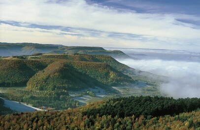 Foto: Schwäbische Alb Tourismus - Landschaftsansicht im Nebel