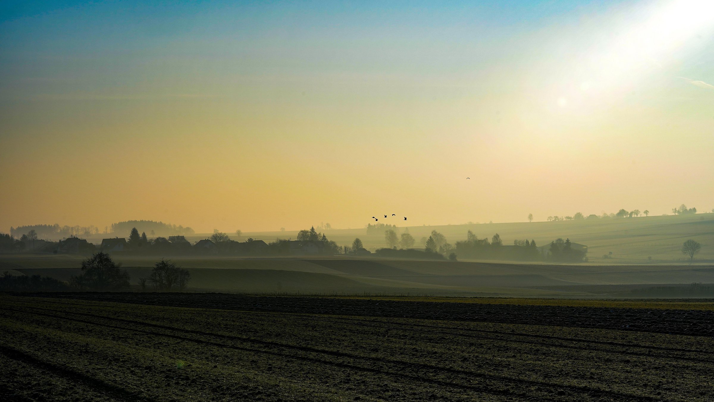 Im Hintergrund ist die Ortschaft Heufelden im Morgengrauen zu sehen, davor einige Felder und leichter Nebel ist zu sehen. Am Himmel fliegen mehrere Vögel davon.
