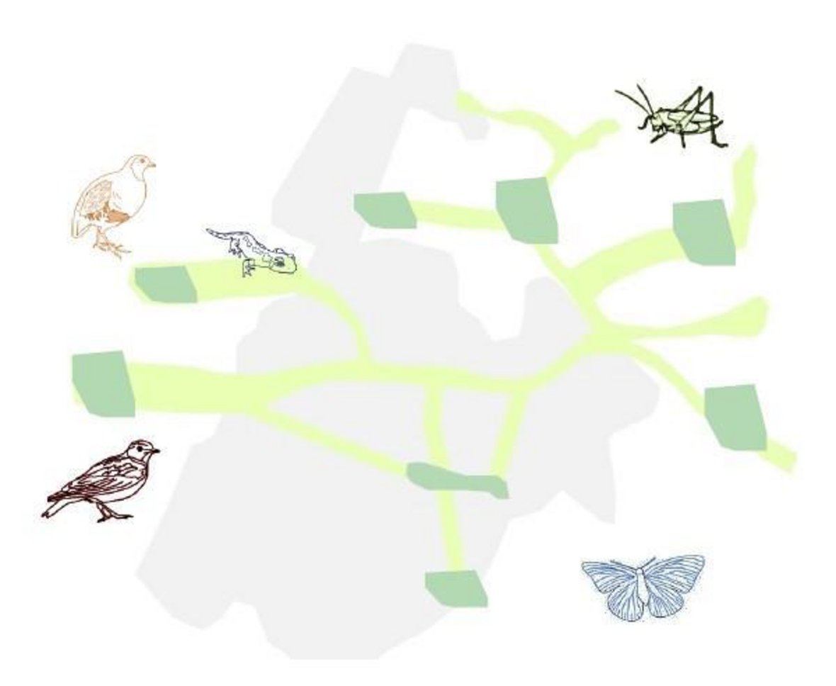 Quelle: Gesellschaft für angewandte Ökologie und U